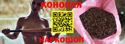 mdpv Краснознаменск