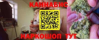 mdpv Краснознаменск