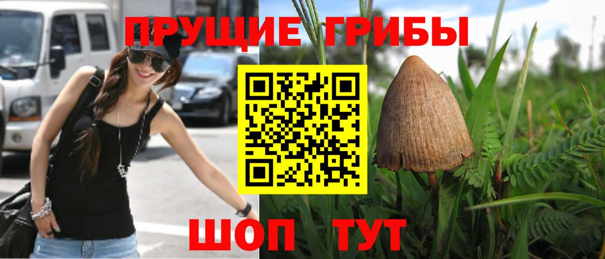 Зеленокумск  Галлюциногенные грибы Psilocybe  Вход с VPN  Галлюциногенные грибы ЛСД 